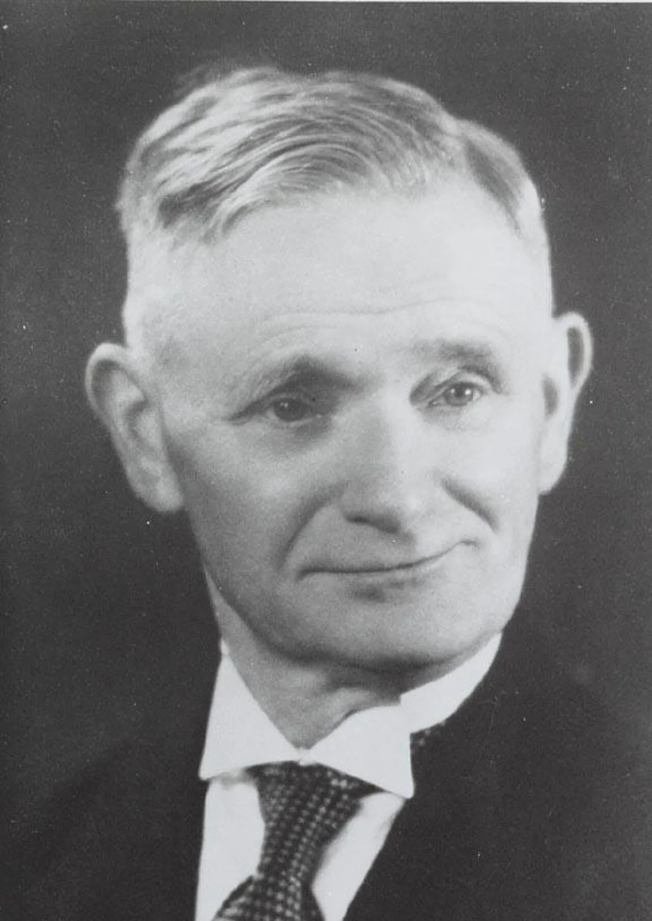 Herman Amelink
