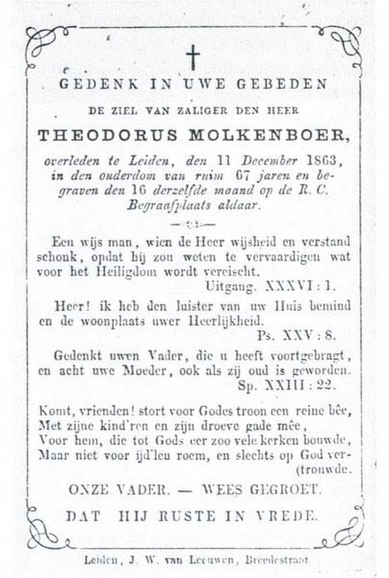 Theo Molkenboer