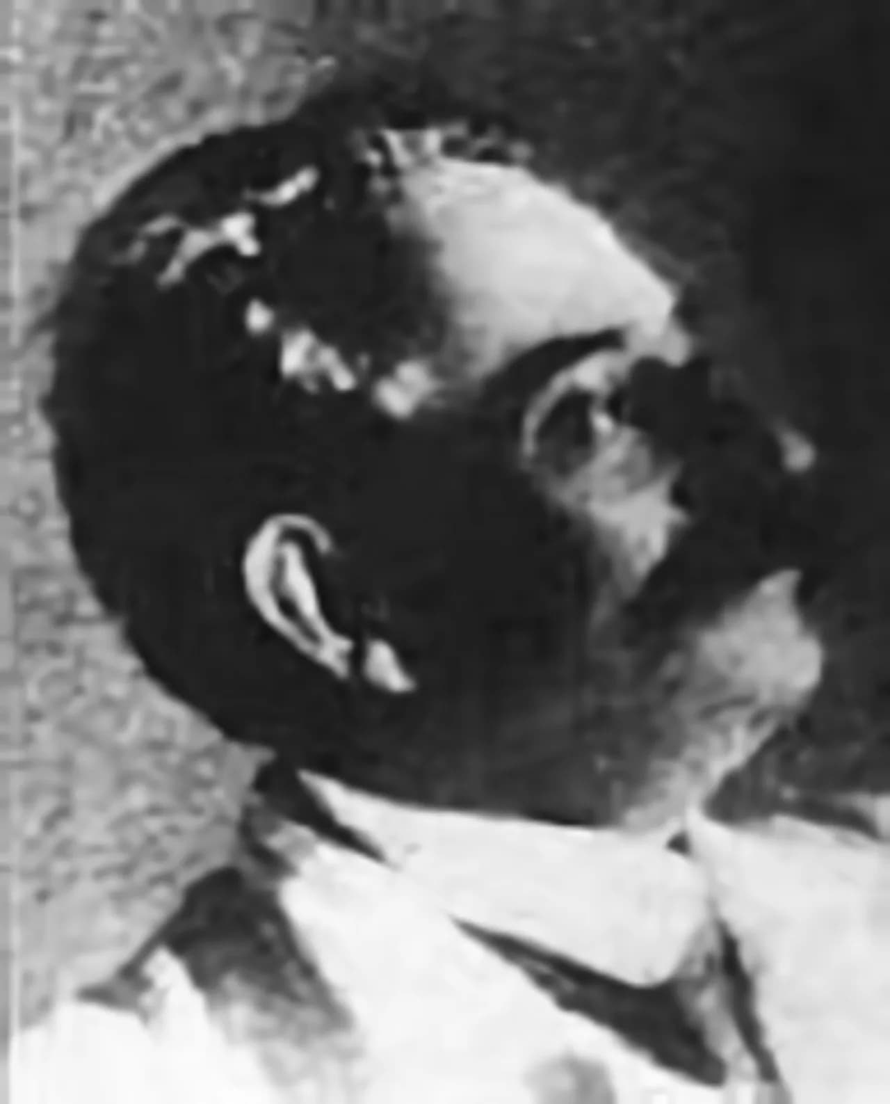 Hugo Apolant