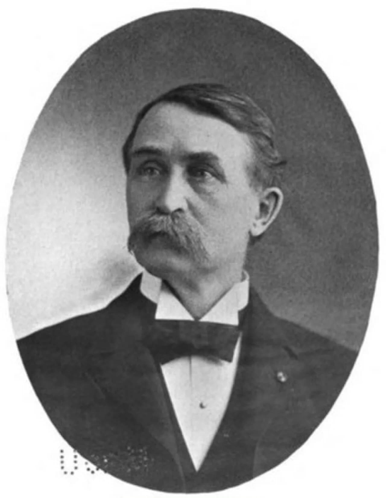 David Whitney Curtis