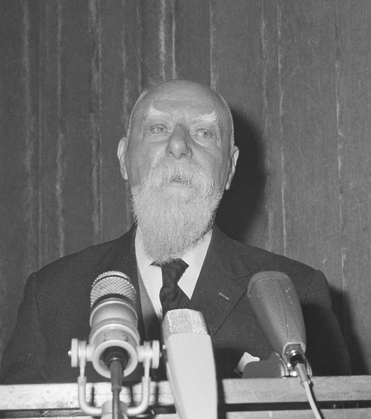 Johannes Severijn