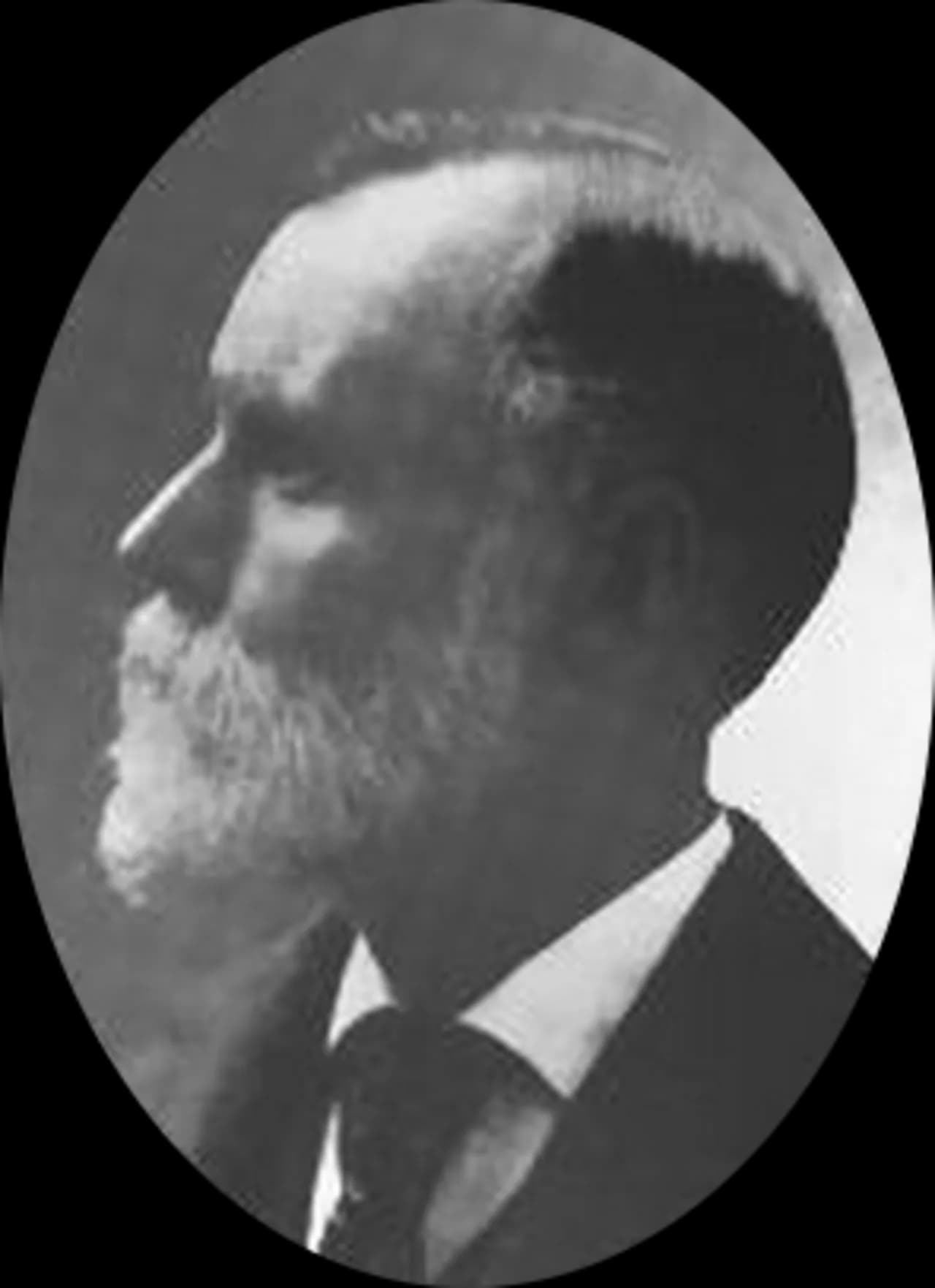 Lysander Butler Hamlin