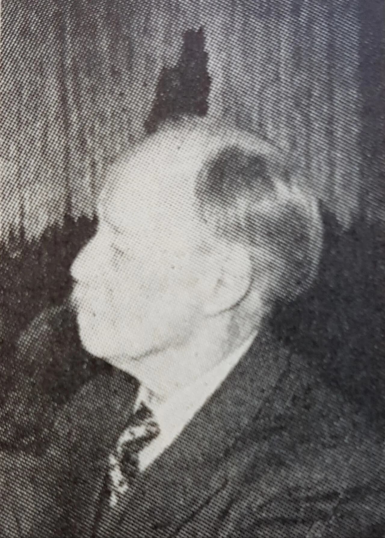 Helmer Hertzhoff
