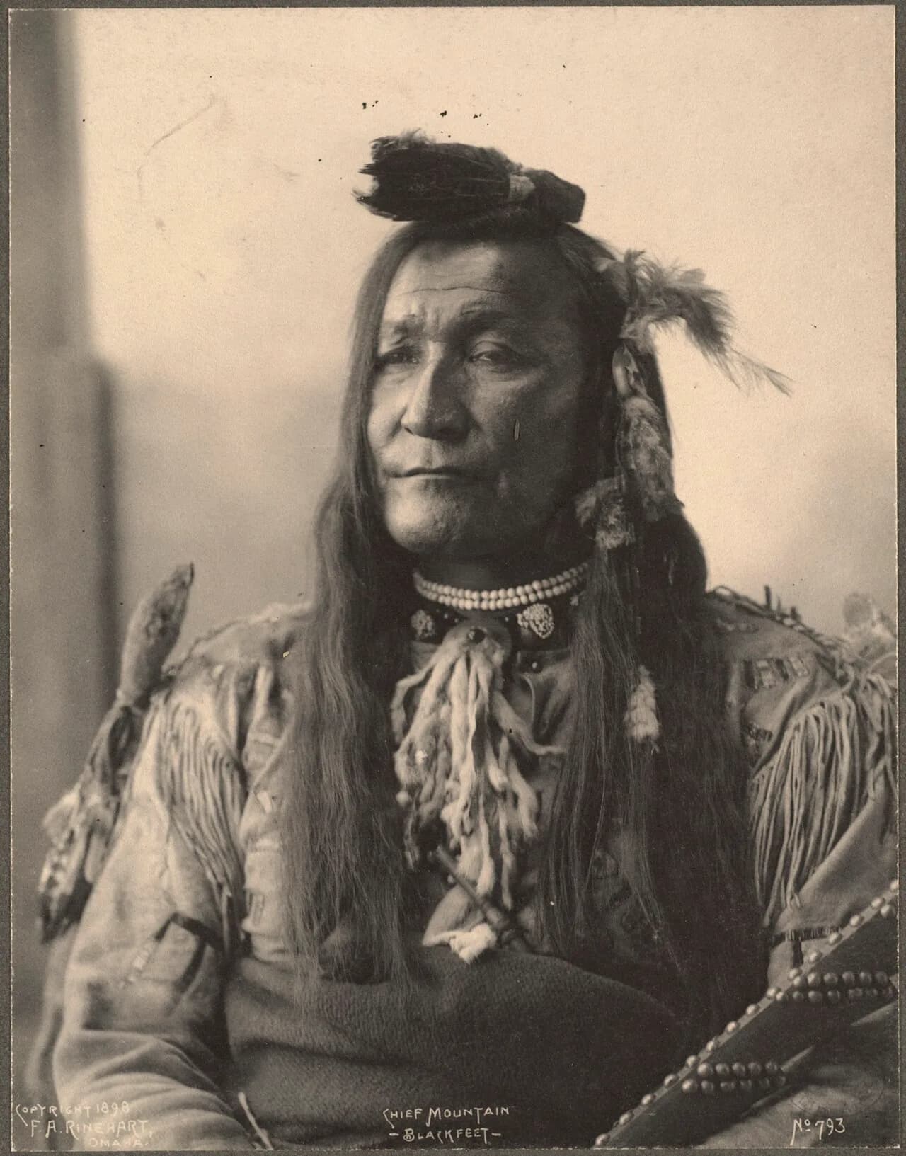 Mountain Chief, Piegan warrior and tribal leader