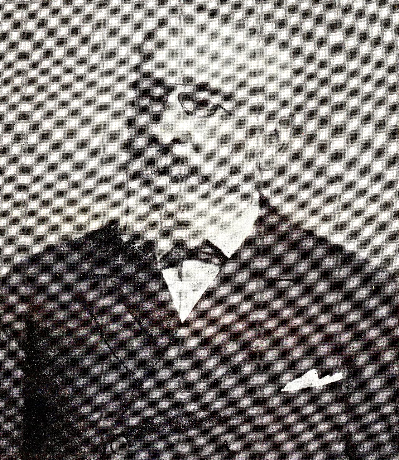 Willem van Goltstein van Oldenaller