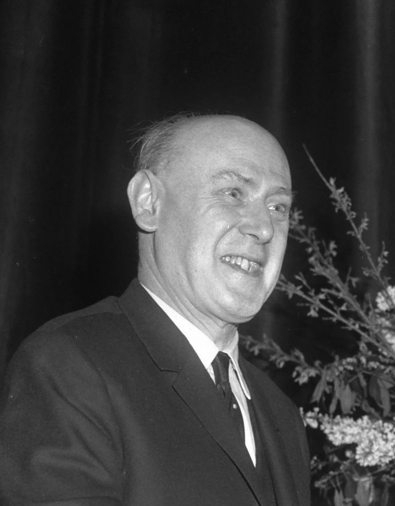 Alphonse De Waelhens