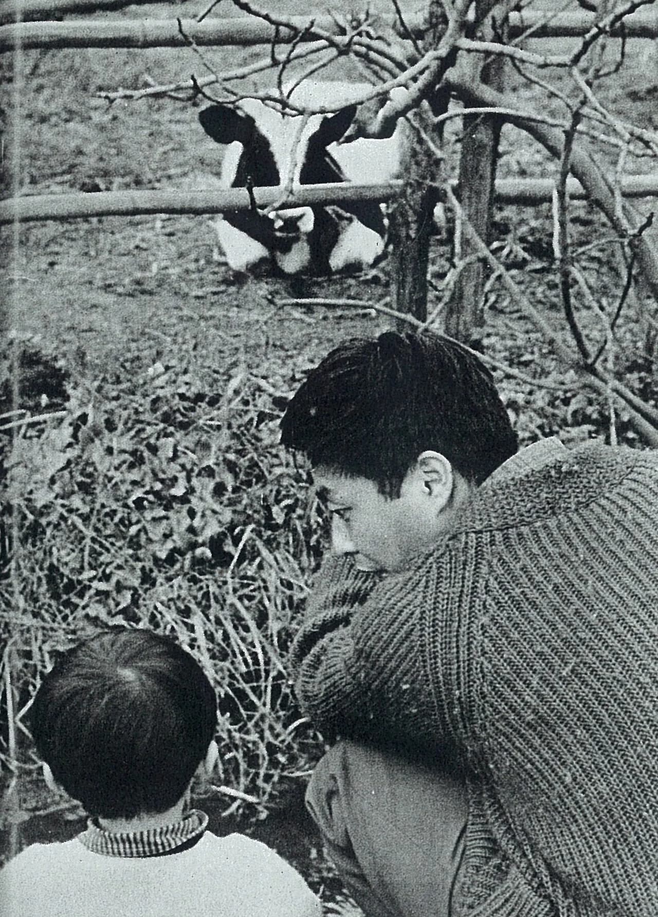Kunio Komatsuzaki