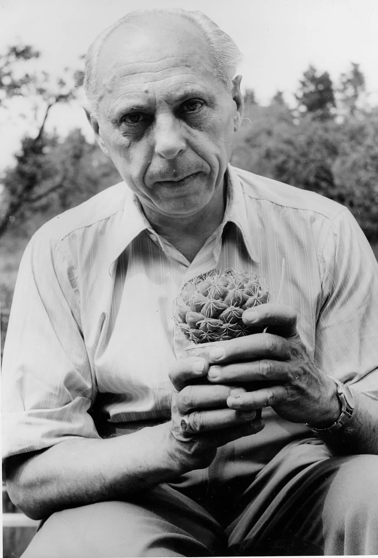 Wilhelm Andreae