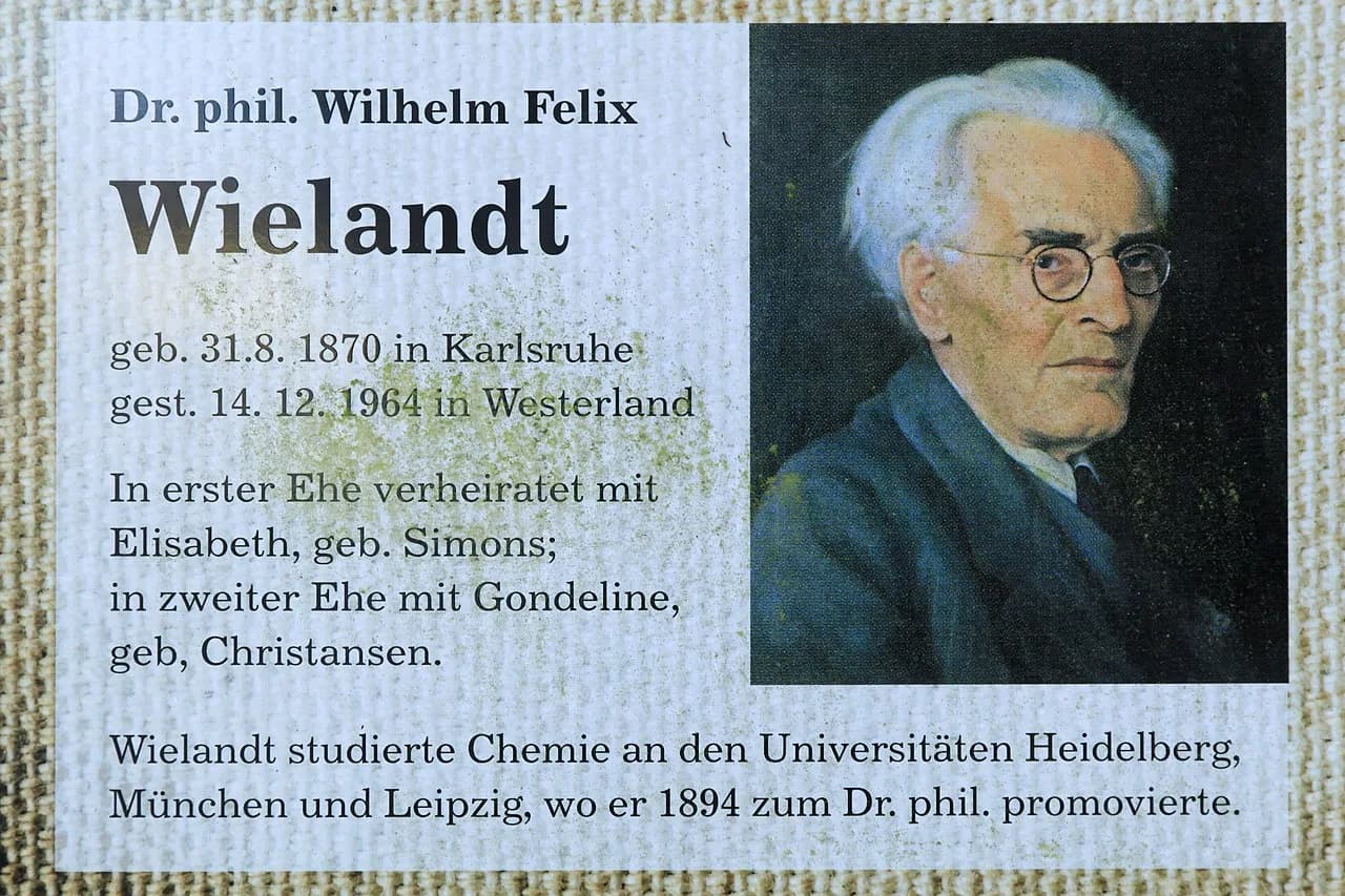 Wilhelm Wielandt