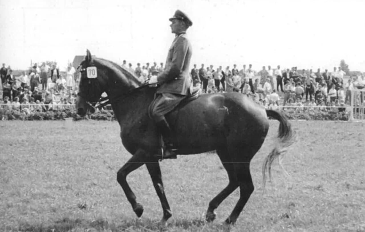 Wolfgang Müller