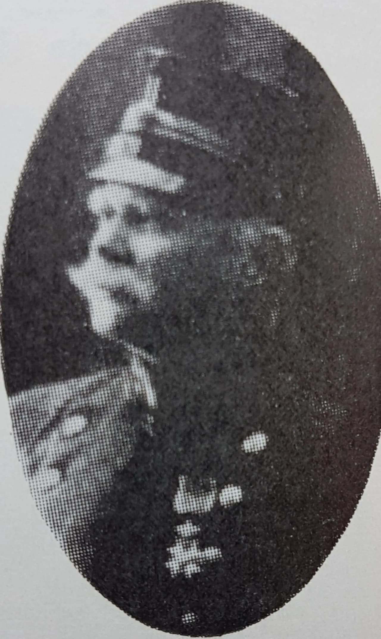 Hjalmar Trafvenfelt