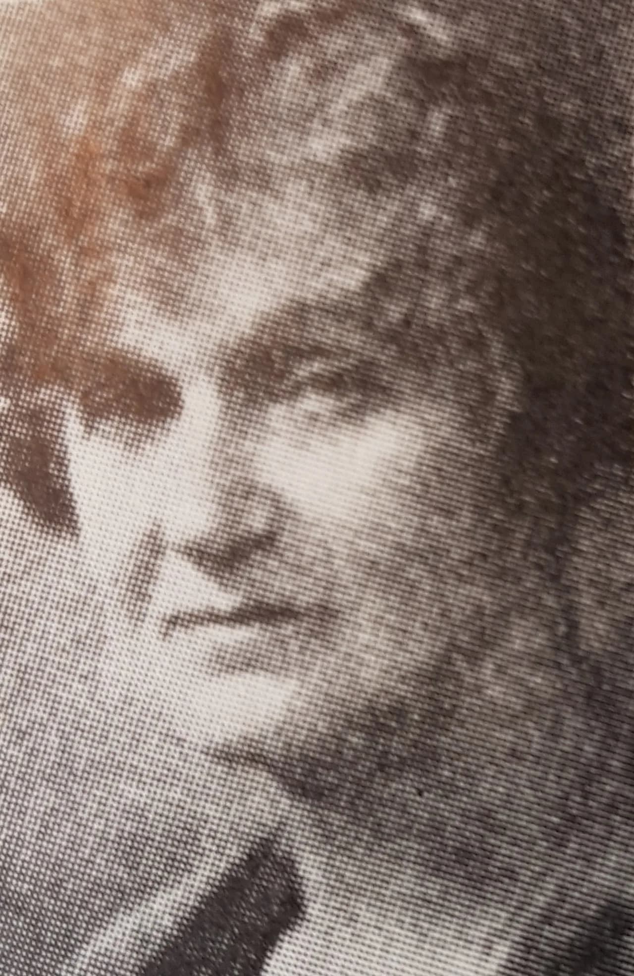 Hildegard Berencreutz