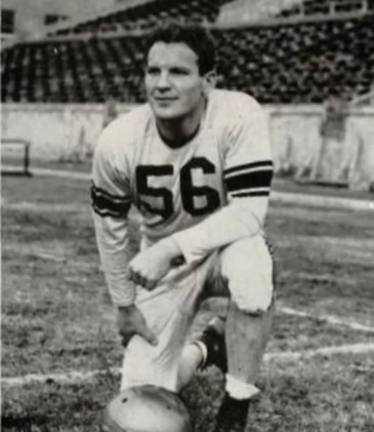 Bill Healy
