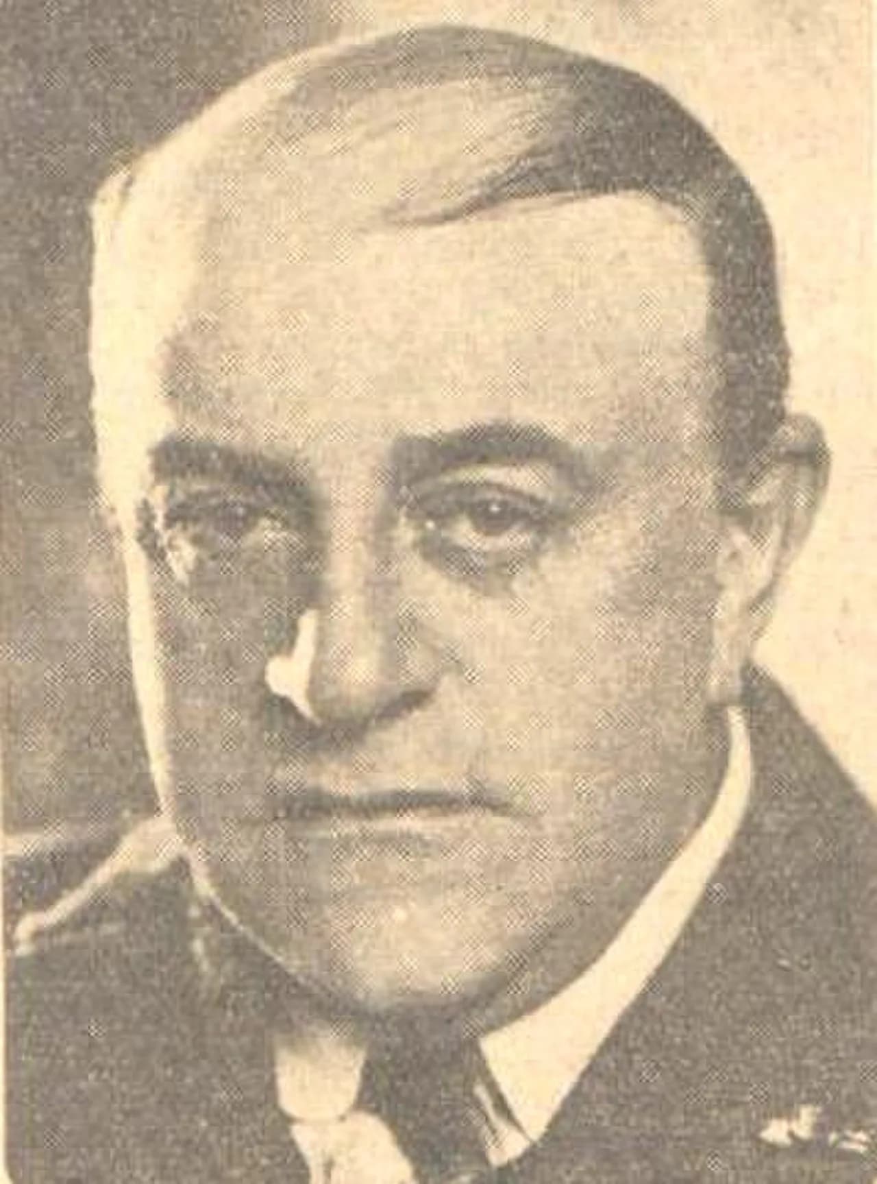 Albert Vogel sr.