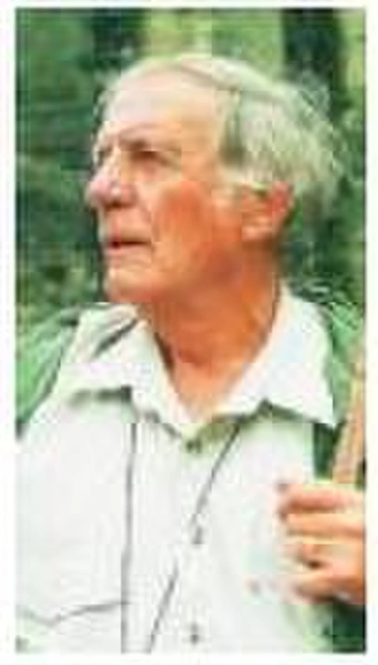 Alfons Kolling