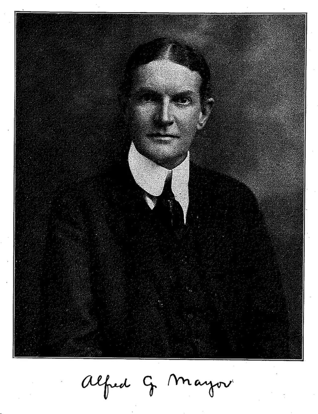 Alfred Goldsborough Mayer