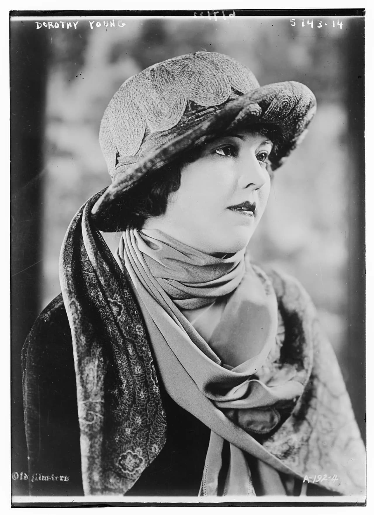 Dorothy Young