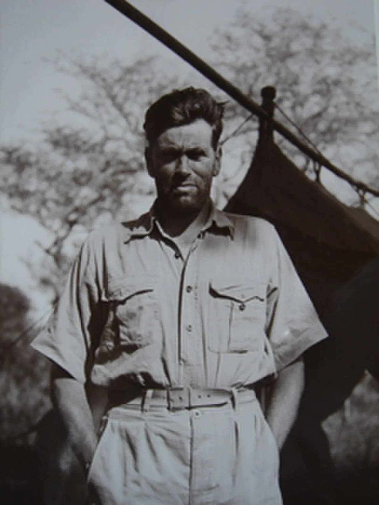 Zsigmond Széchenyi