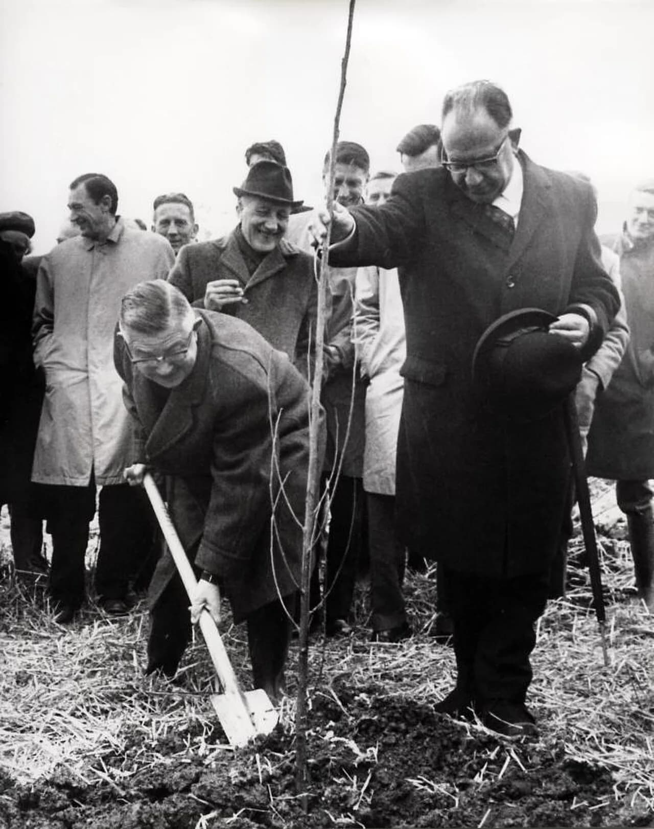 Hein van de Poel