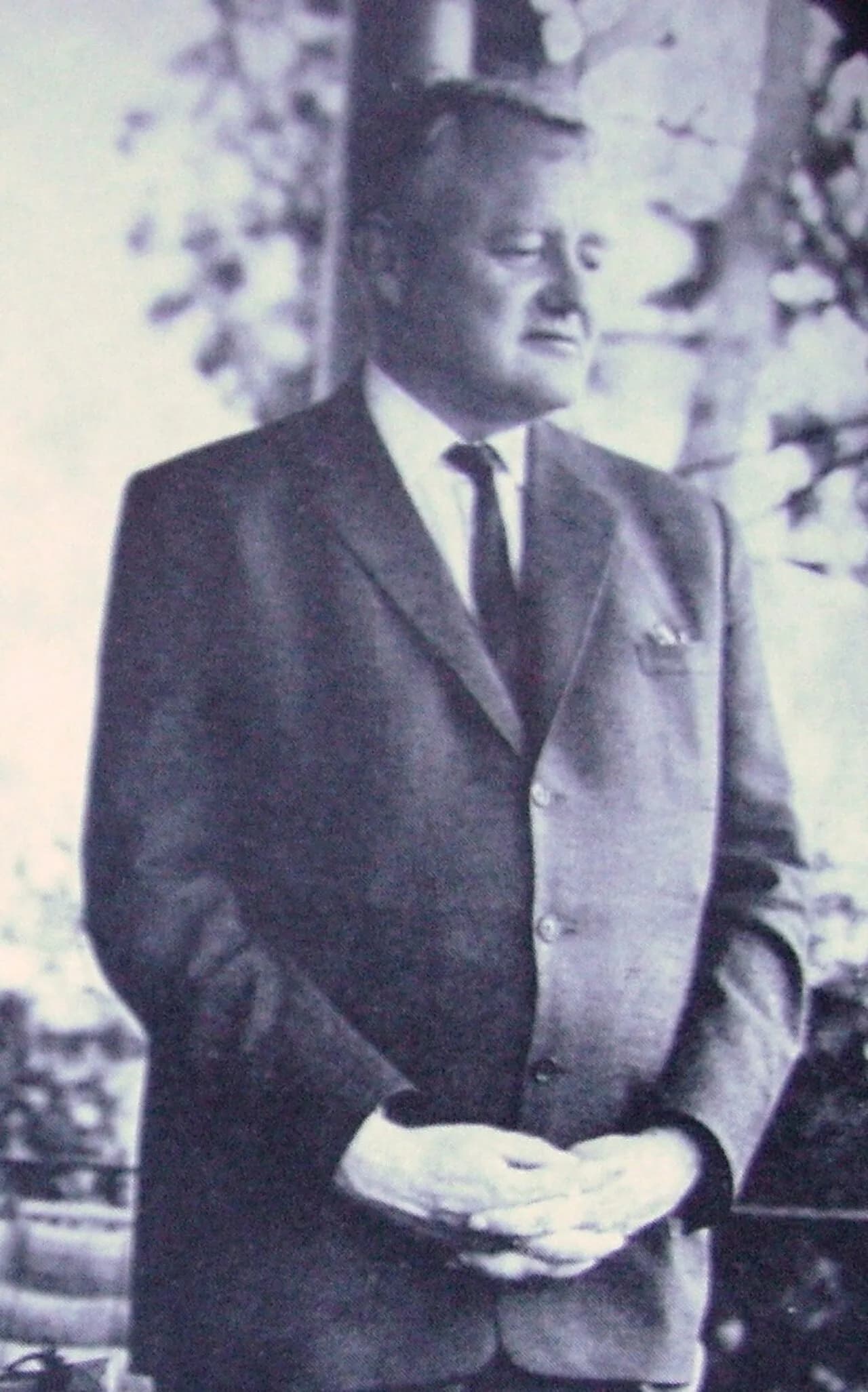 Ingemar Hedenius