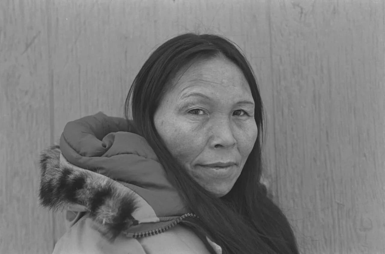 Napachie Ashoona Pootoogook