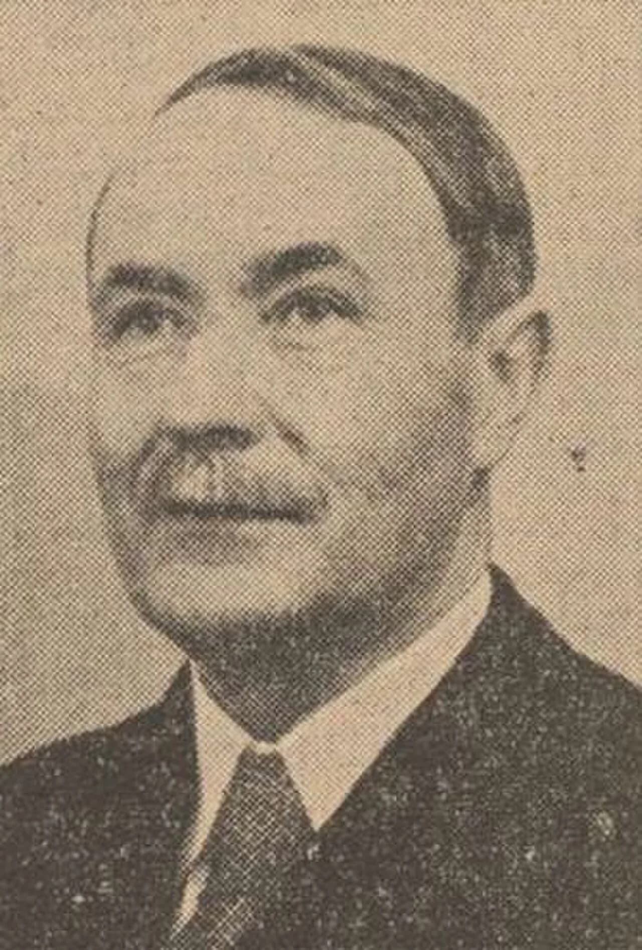 Petre V. Haneș