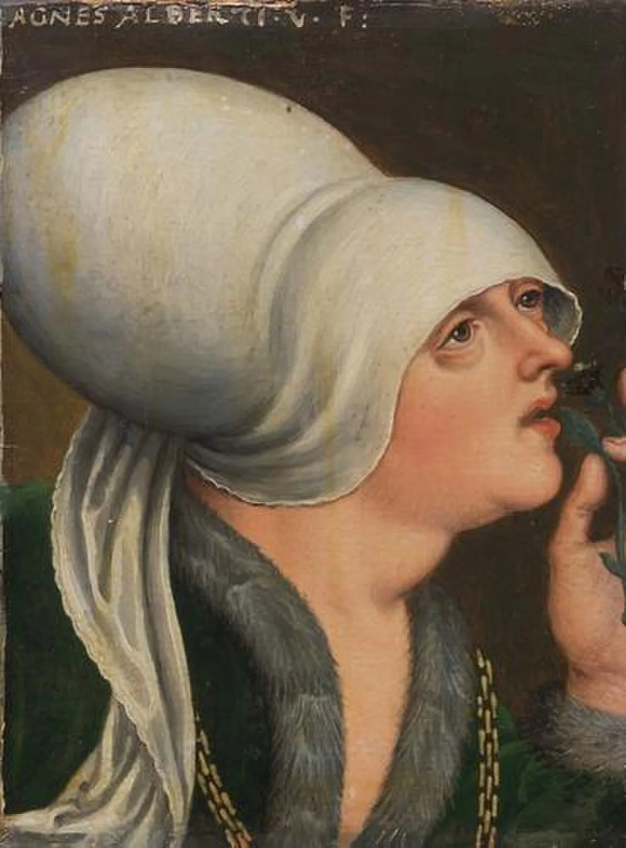 Anna von Österreich