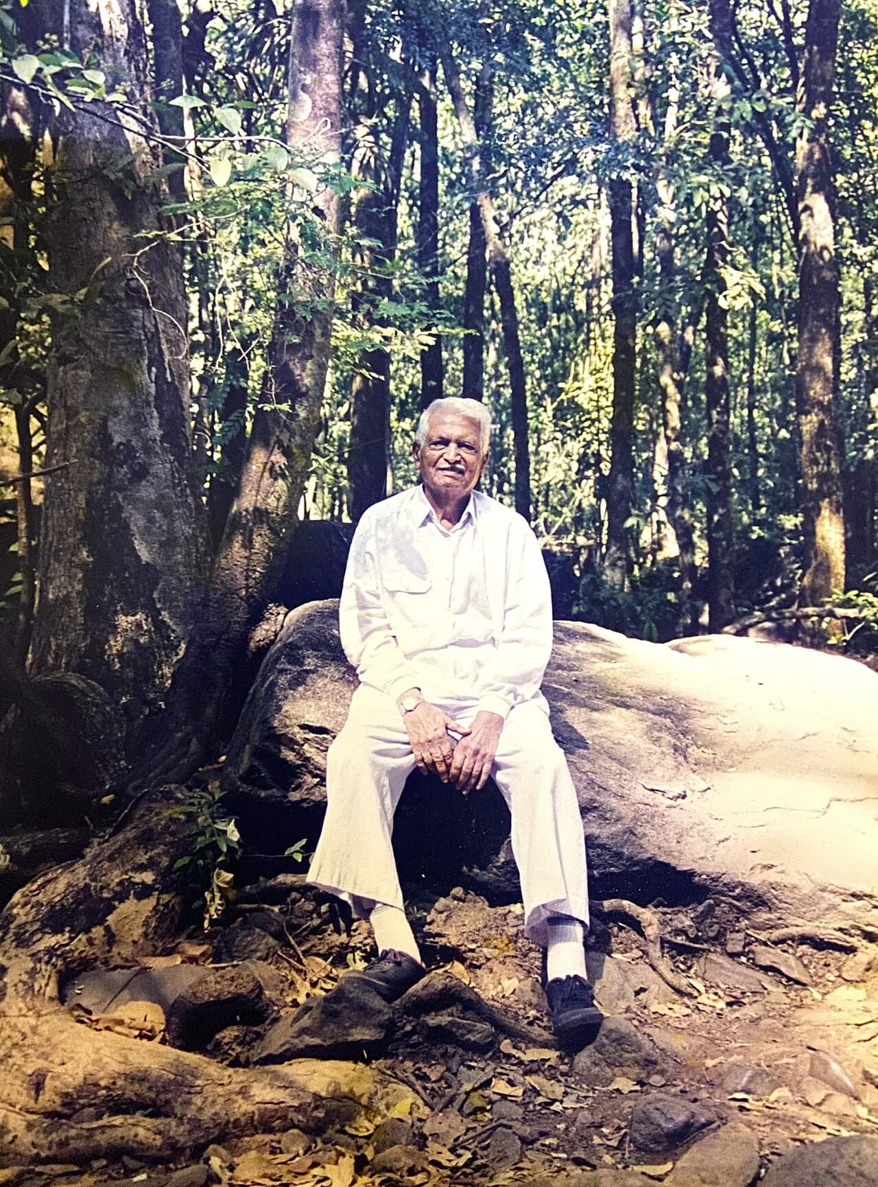 Vijay A. Madgavkar