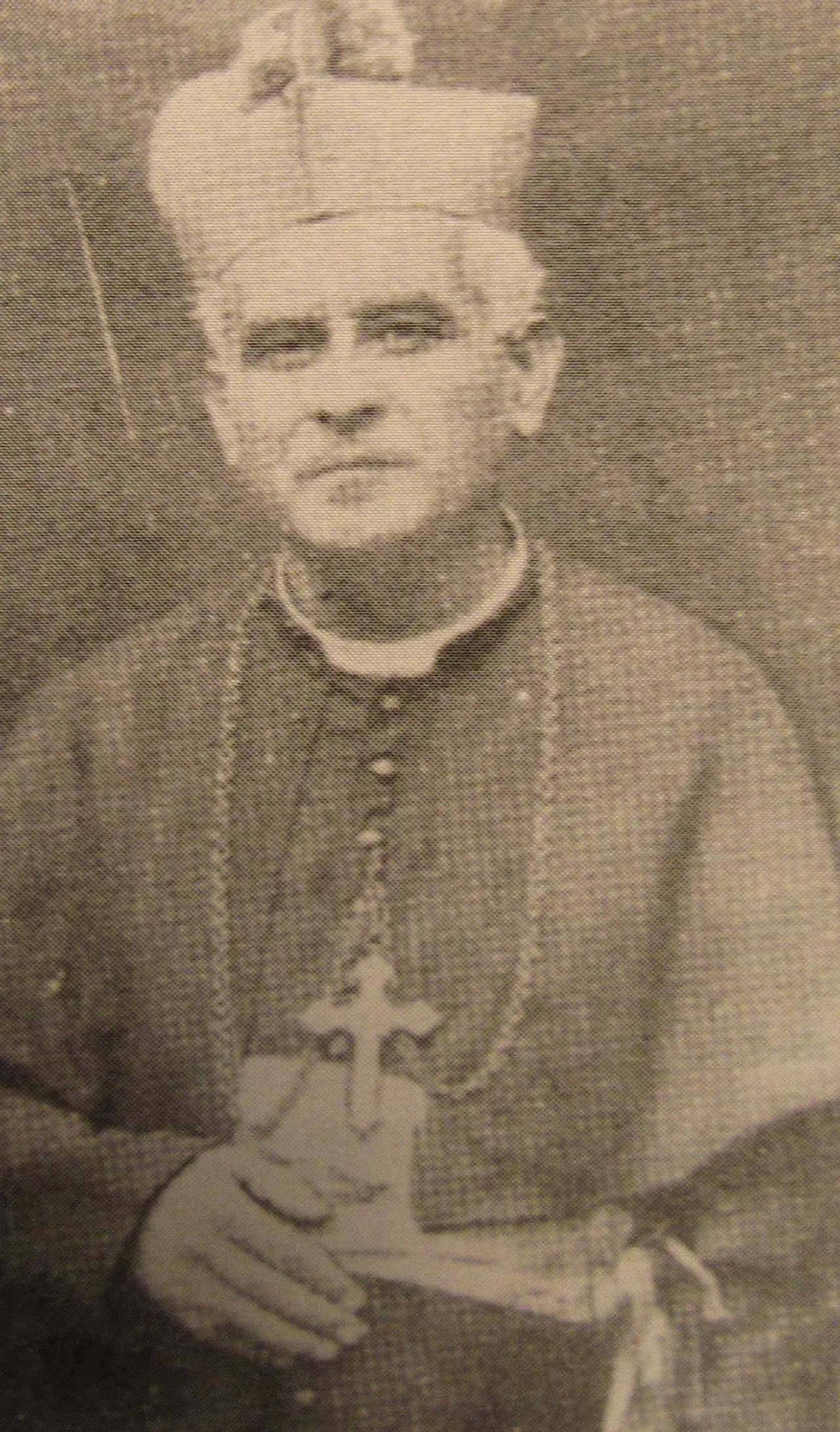 Domenico Maria Mezzadri