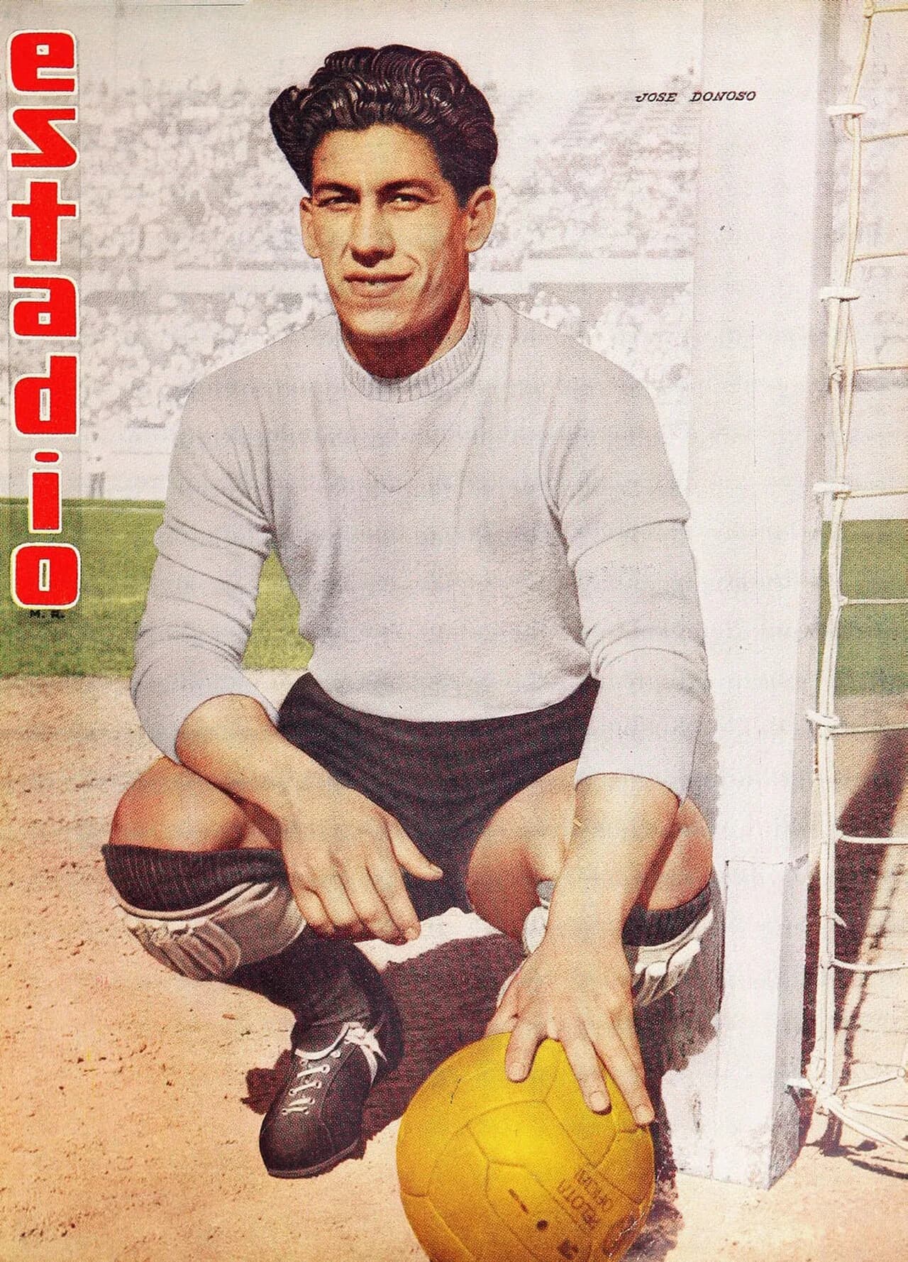José Donoso Lizama