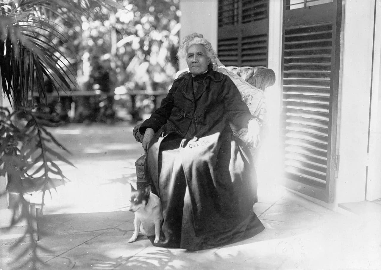 Lahilahi Webb