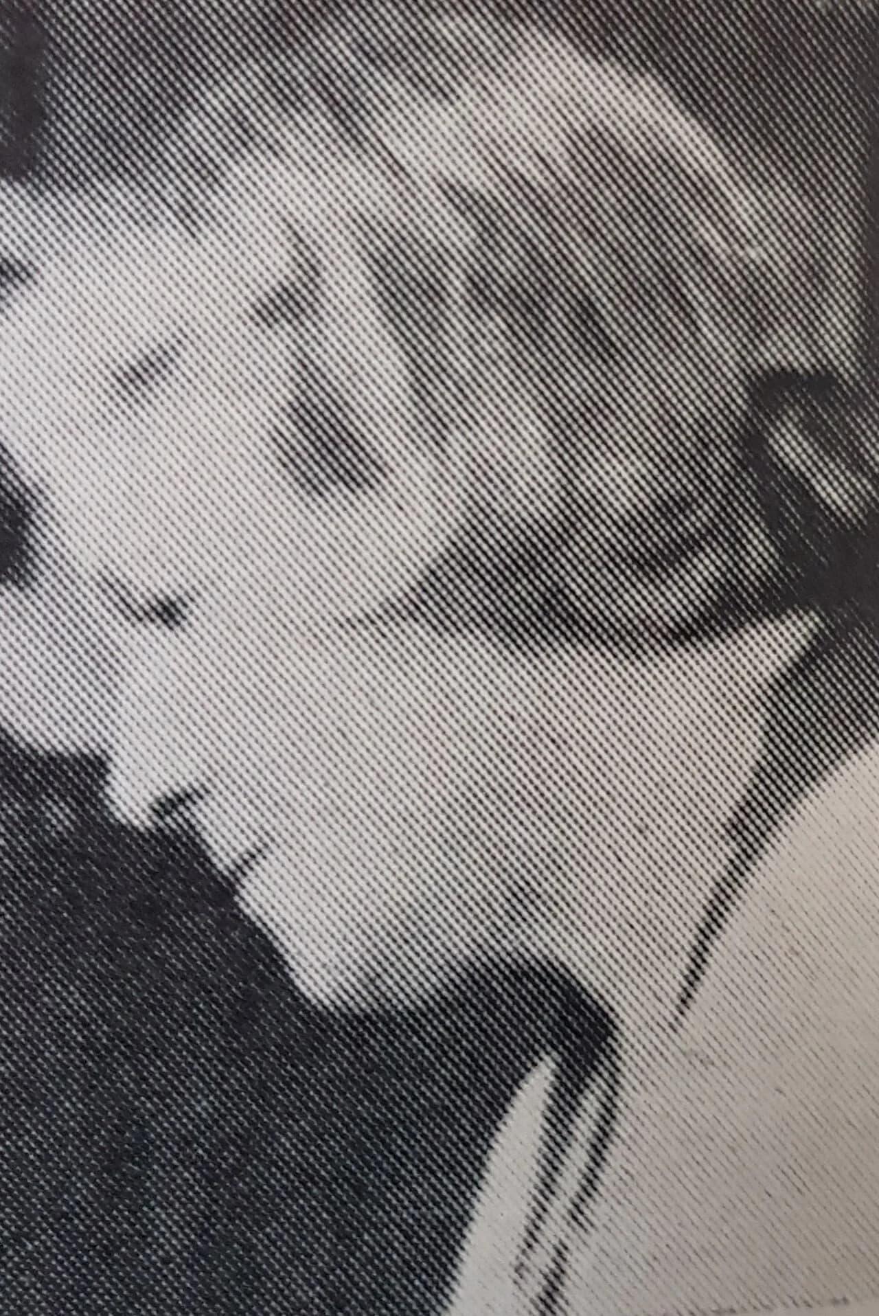 Sigrid Lindholm