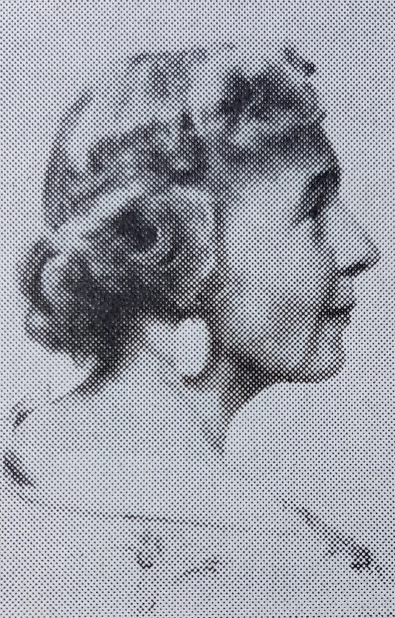 Ingrid Neppelberg