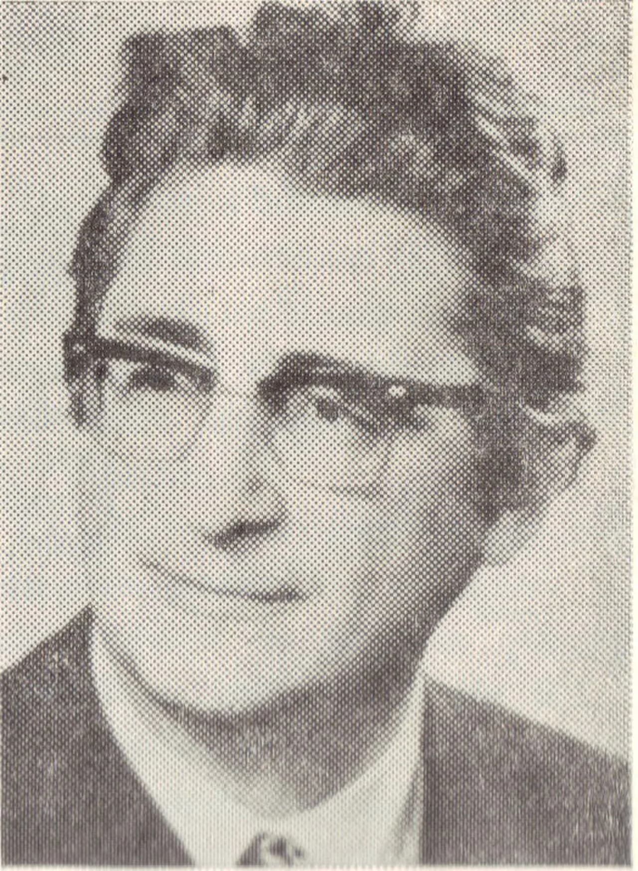 Dan Zamfirescu