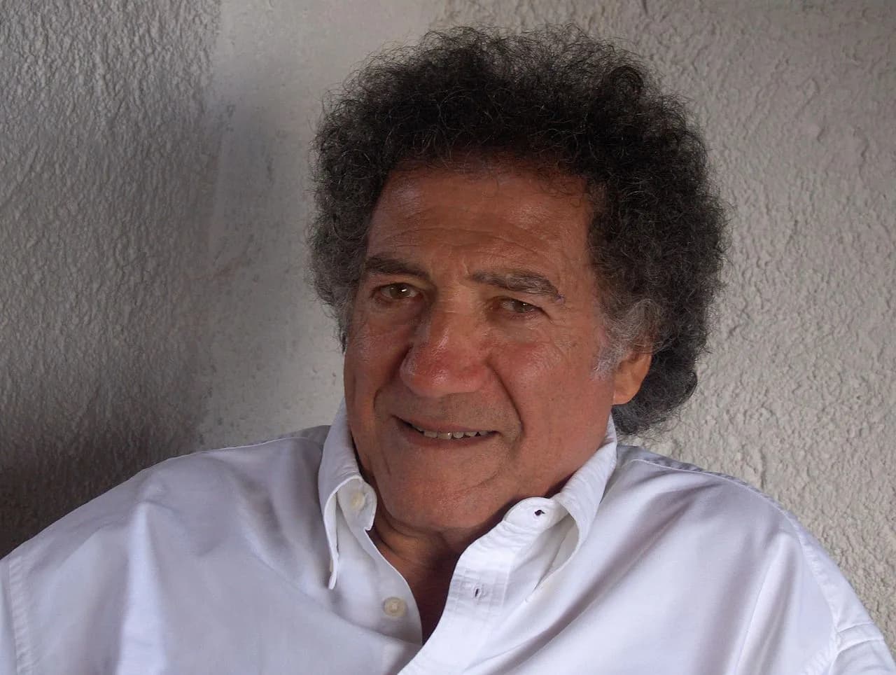 Alain Amselek