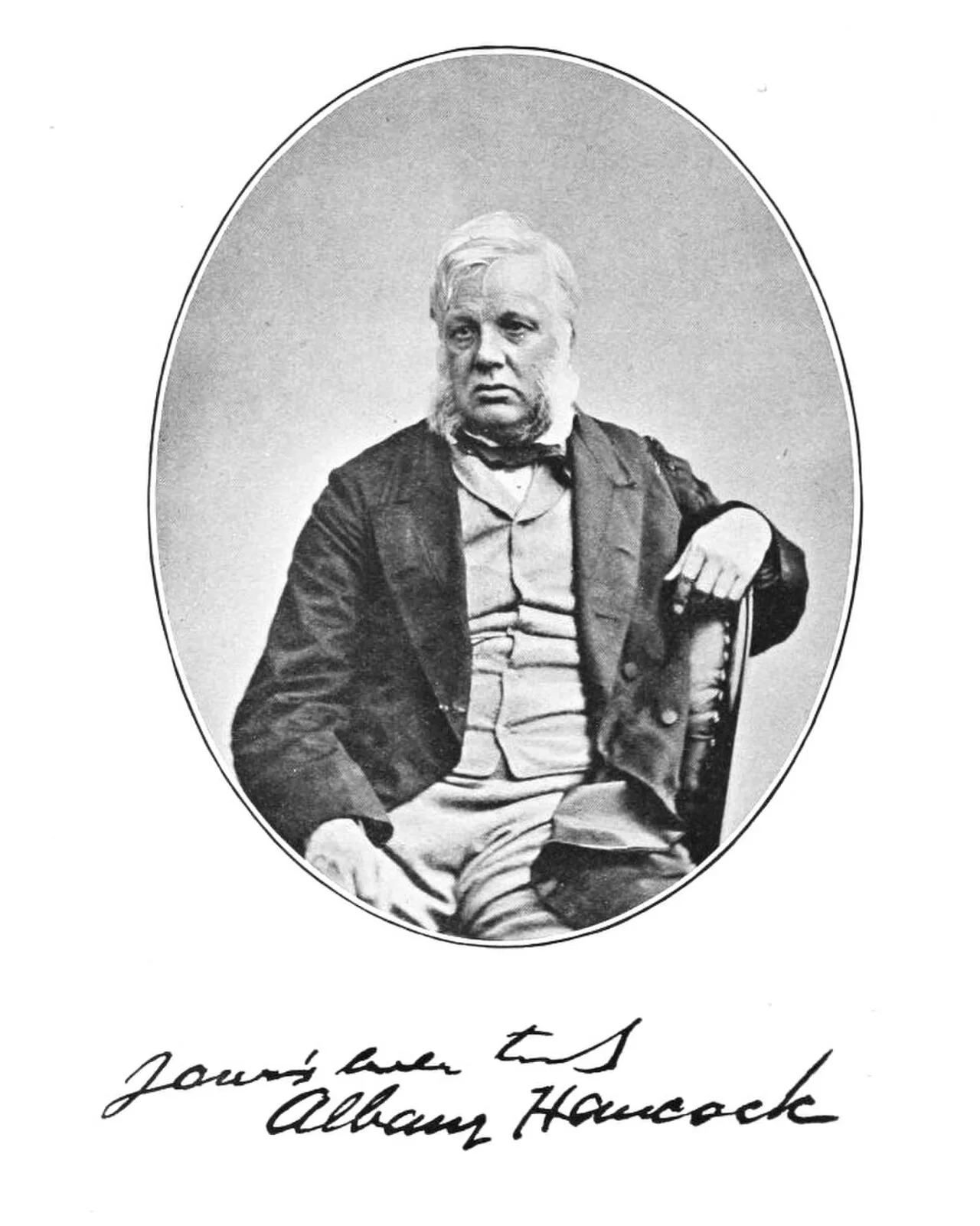 Albany Hancock