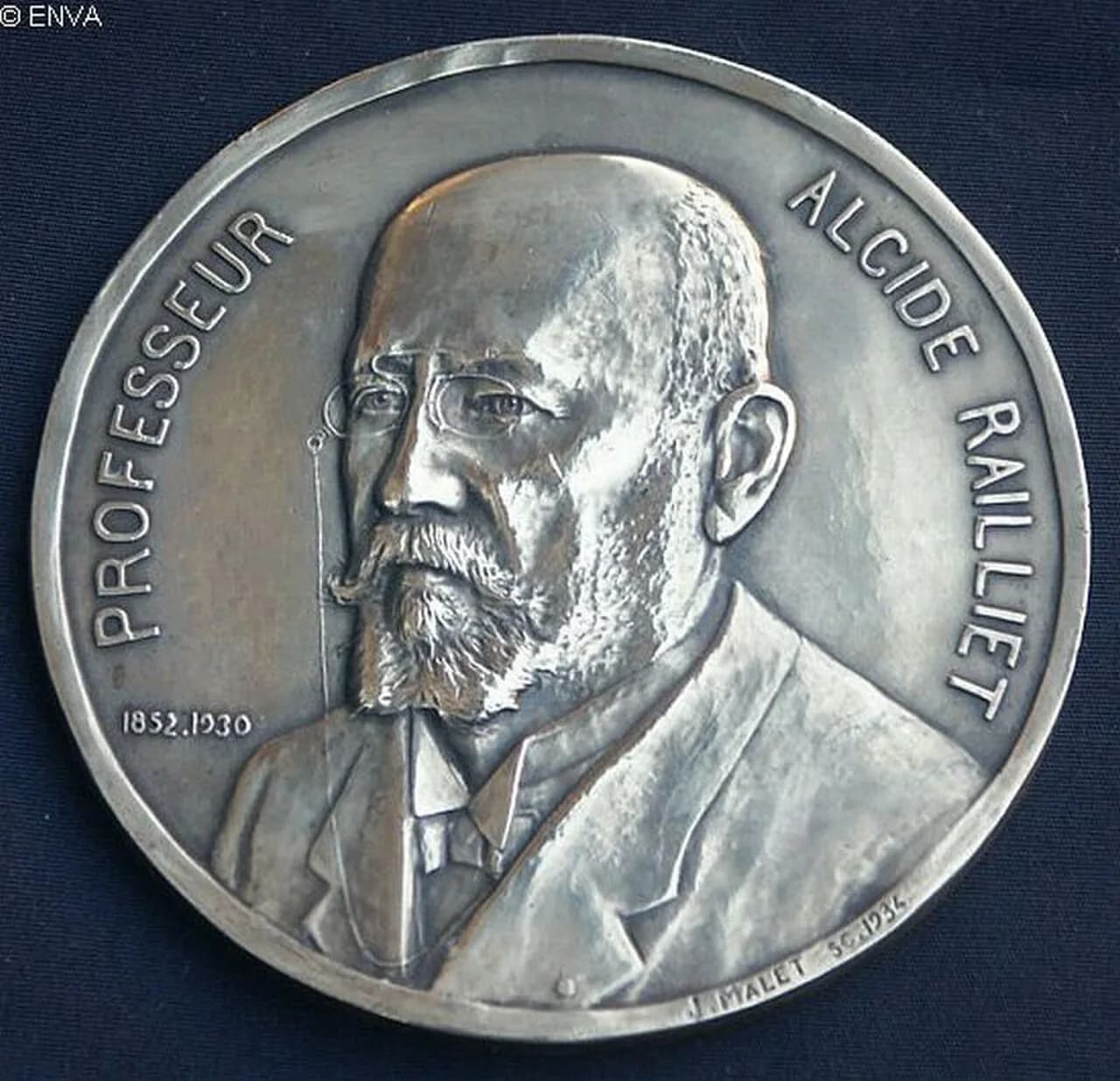 Louis Joseph Alcide Railliet
