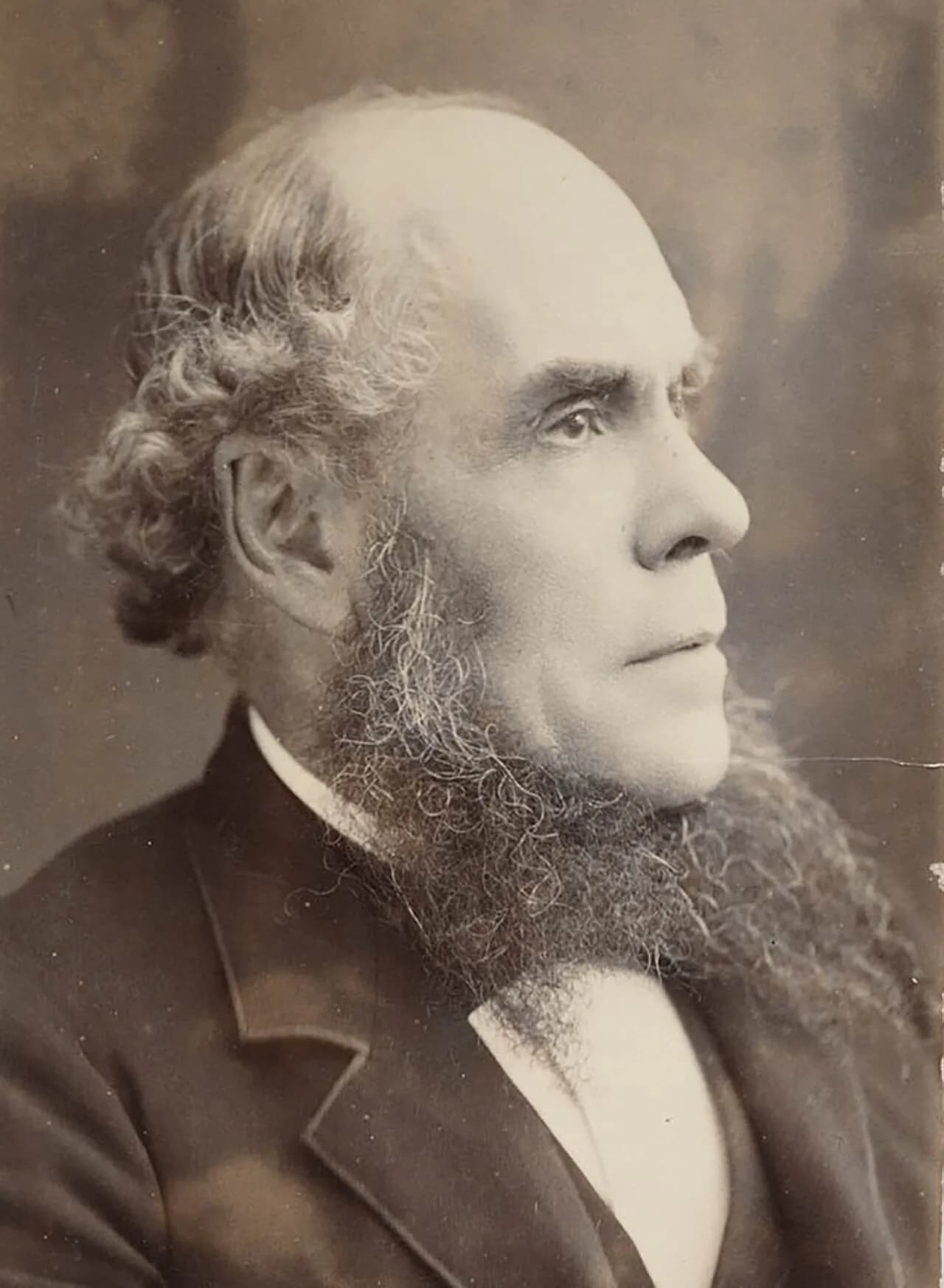Alexander Stuart