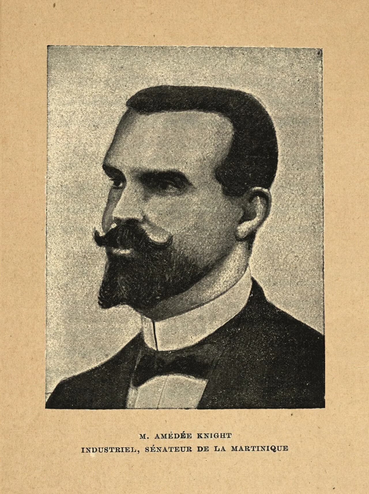 Amédée Knight