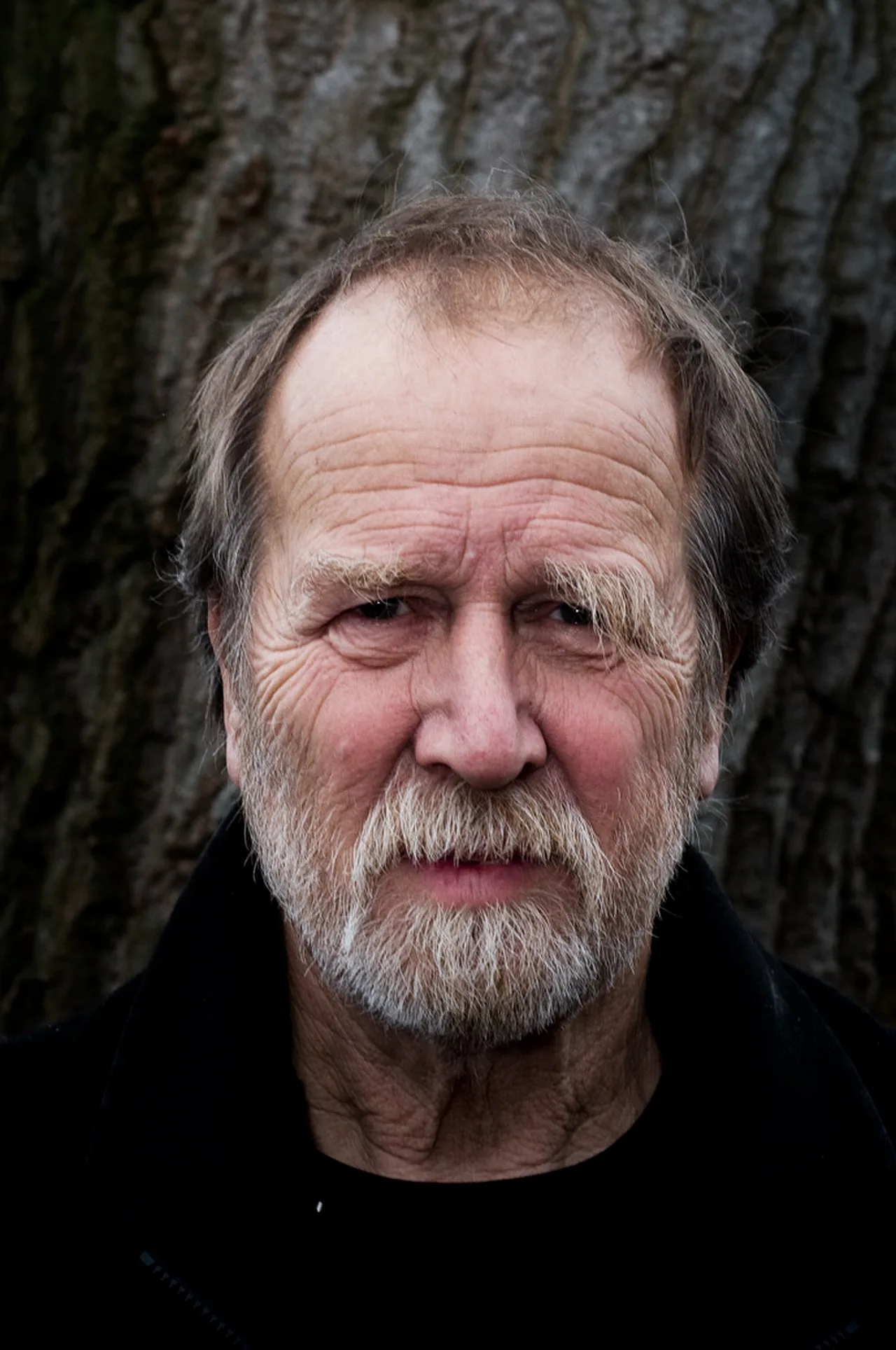 A. L. Snijders