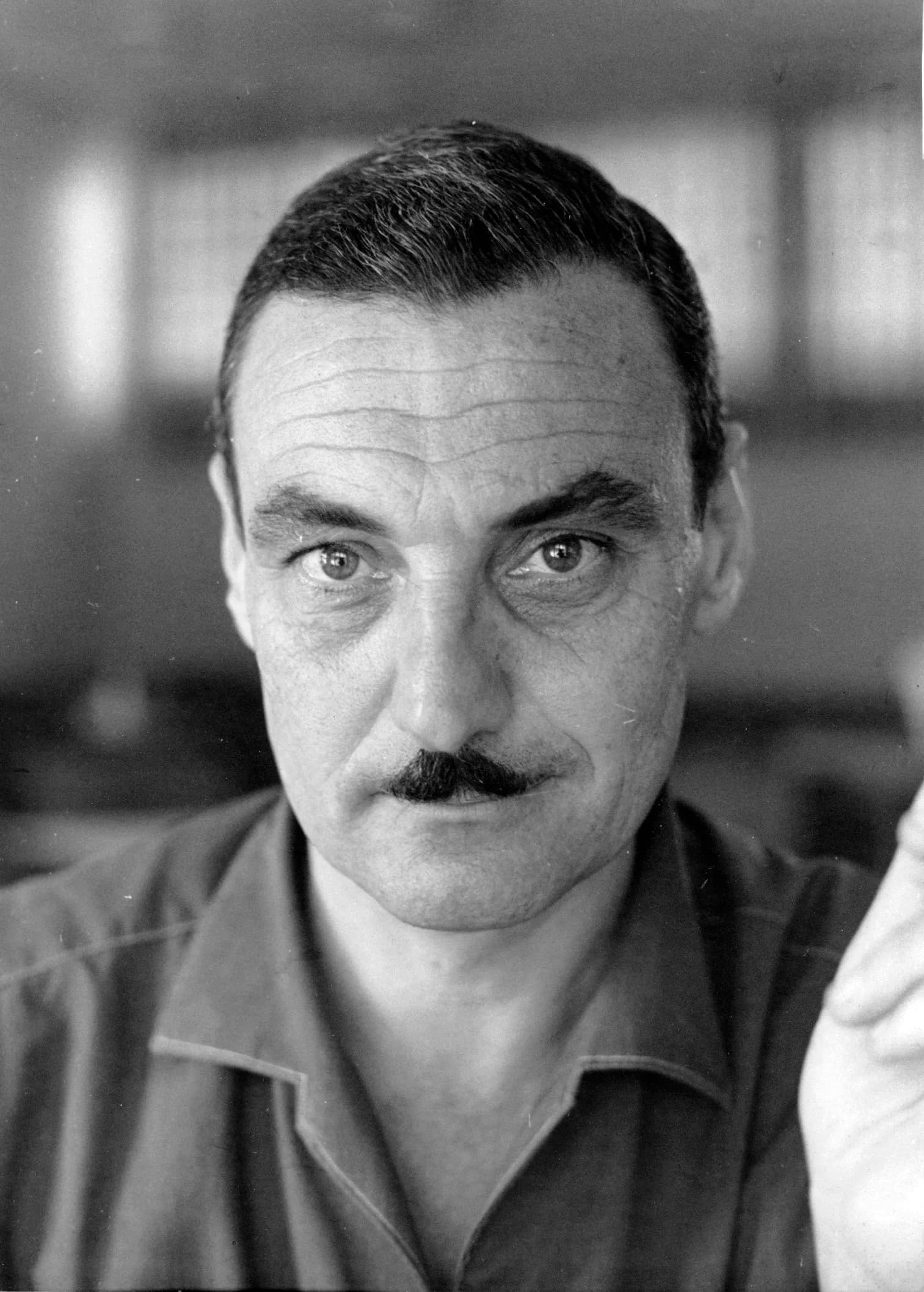 Aharon Amir
