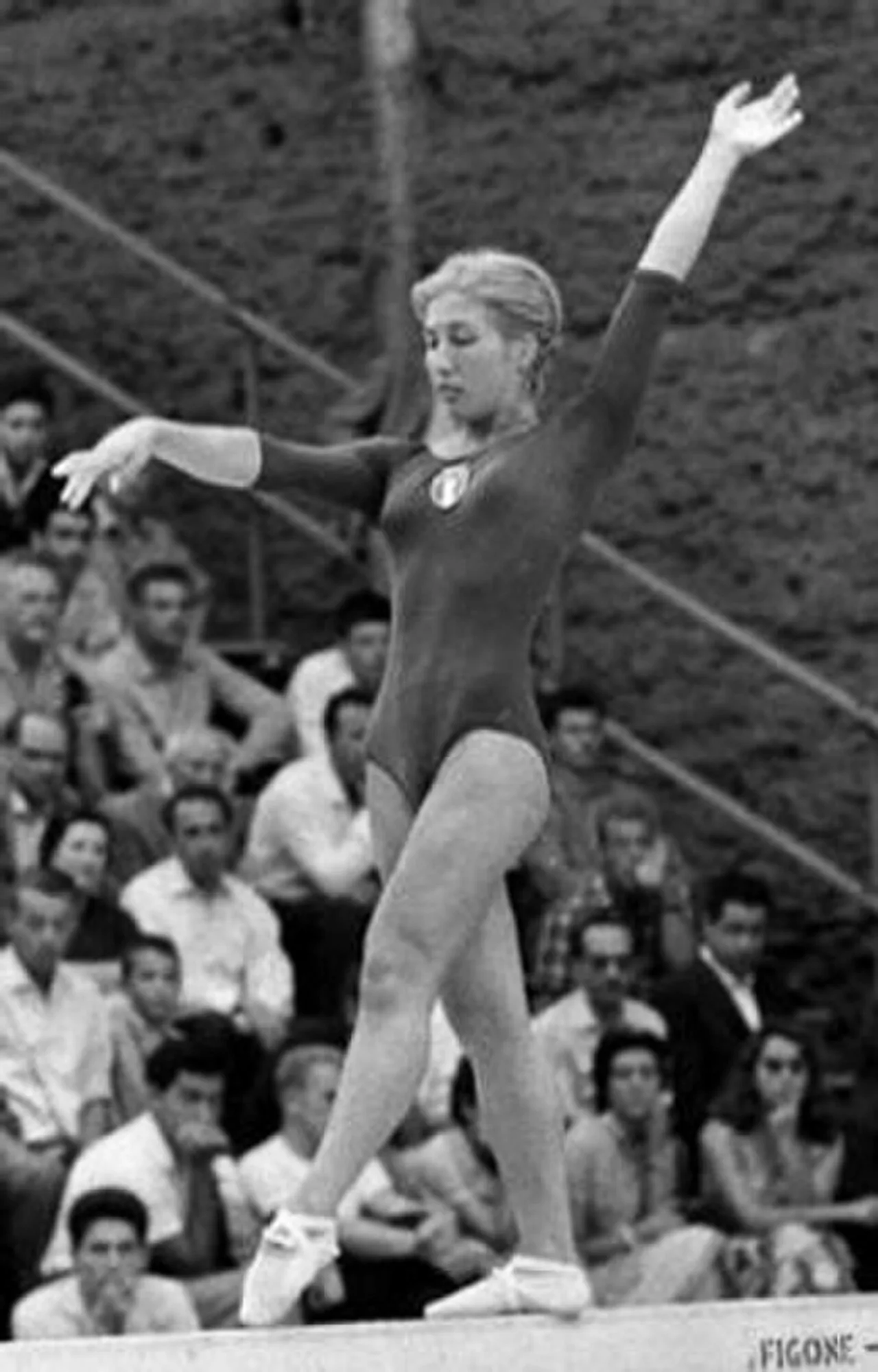 Miranda Cicognani