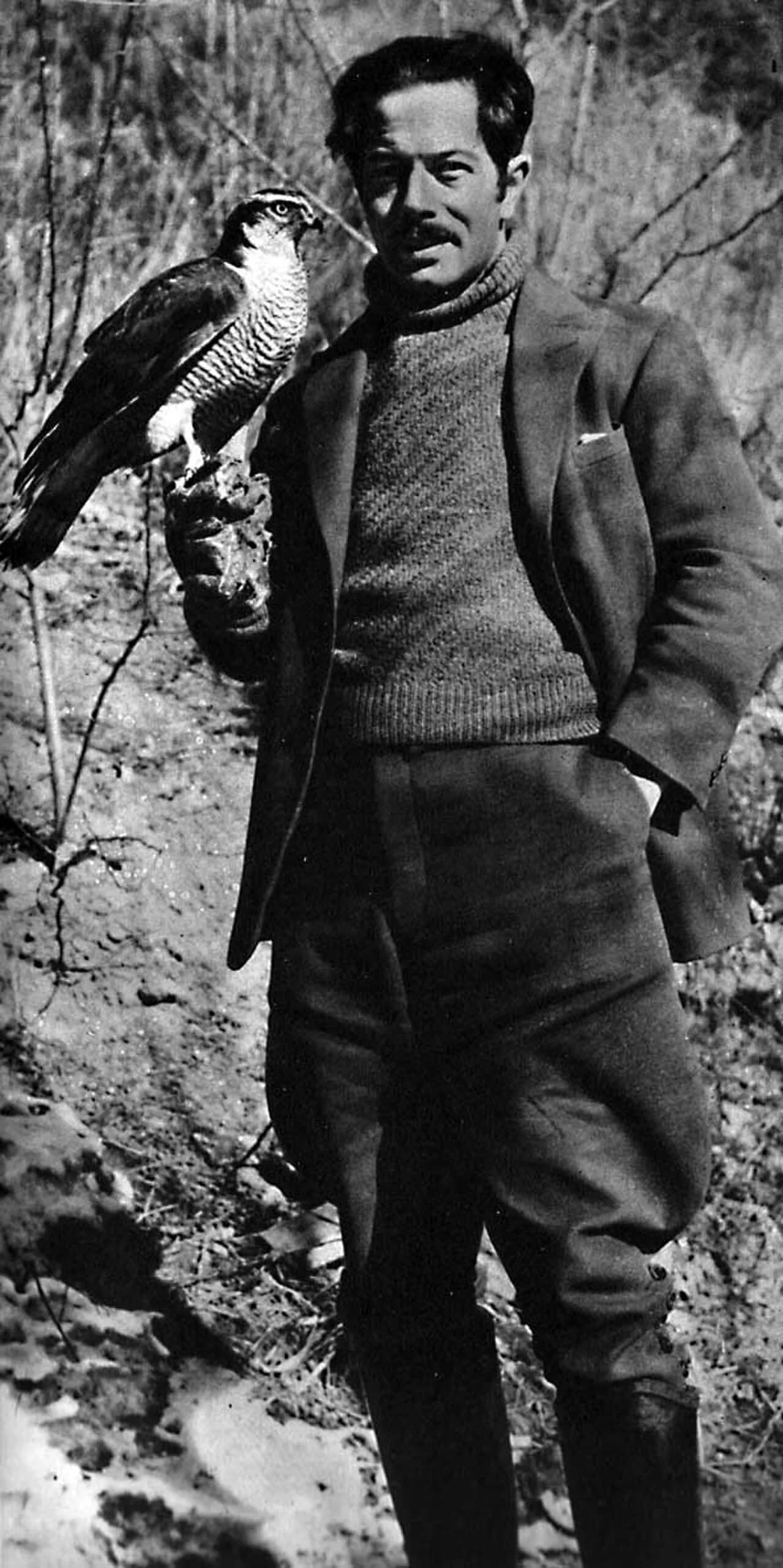 Sten Bergman