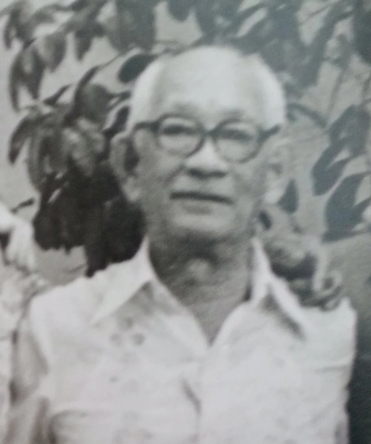 Chino Roces