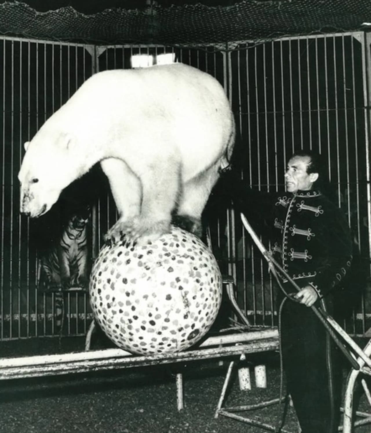 Liborio Sfalanga