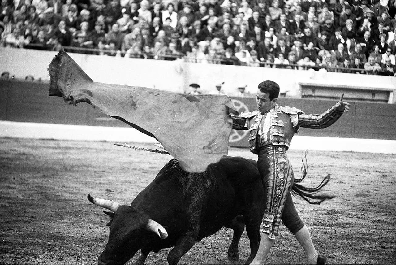 Diego Puerta