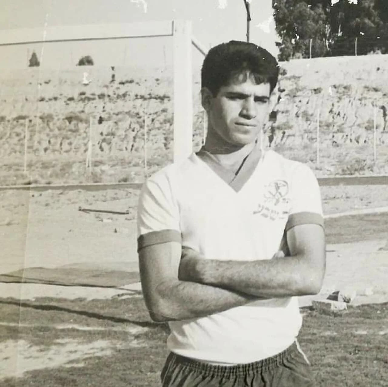 Haim Cohen