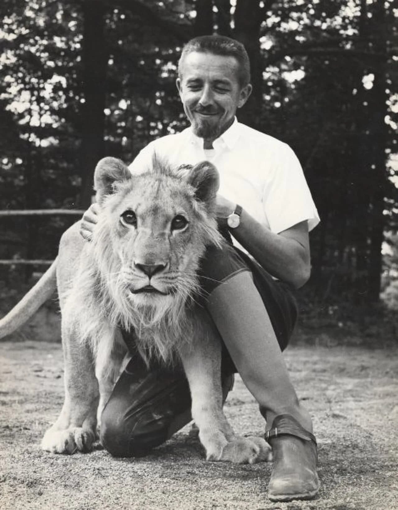 Désiré Aerts
