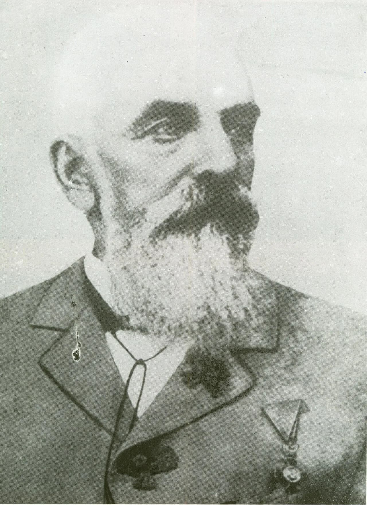 József Reitter