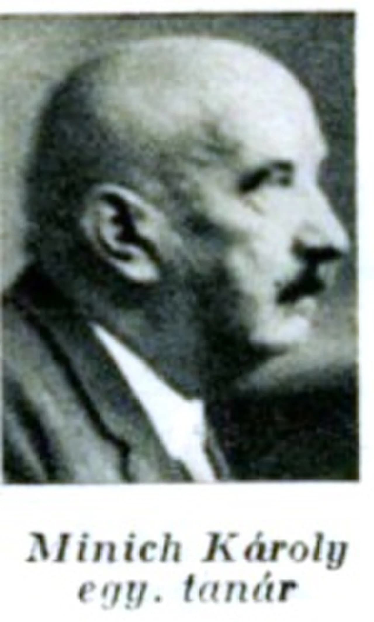 Károly Minich